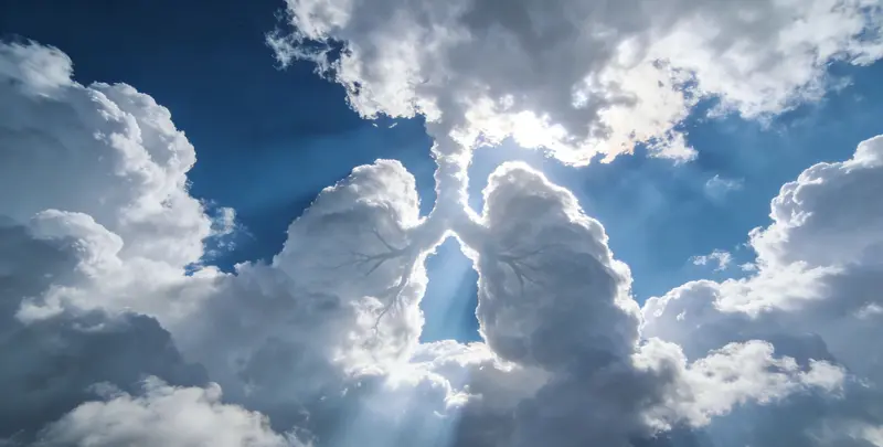 大连肺癌靶向39基因检测（组织）图片1