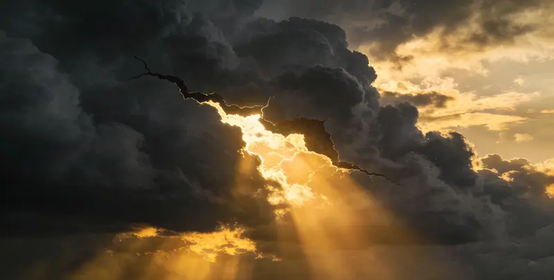 大连肺癌8基因突变检测（组织）图片1