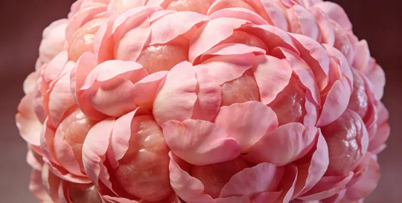 大连BRCA1/2乳腺癌卵巢癌基因检测图片1